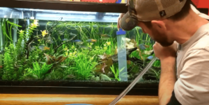 Water change 1