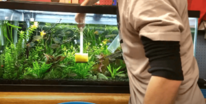 Water change 2