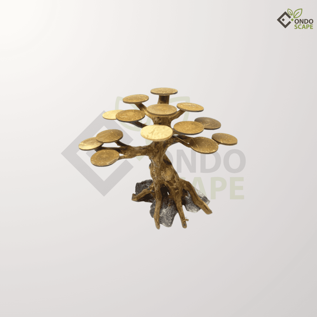 driftwood bonsai moss platform aquascape